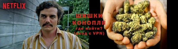 амф Бородино