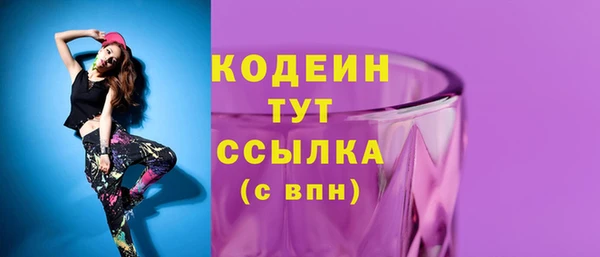 амф Бородино