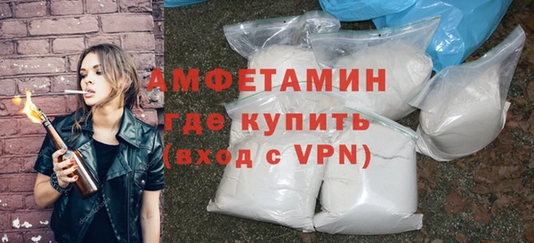 амф Бородино