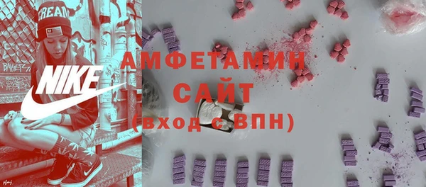 амф Бородино