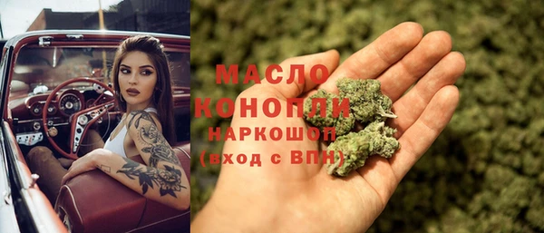амф Бородино