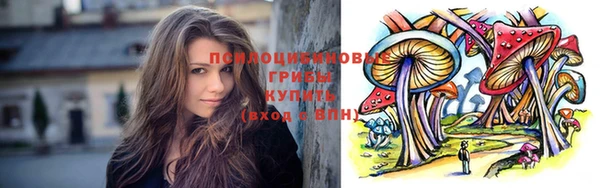 амф Бородино